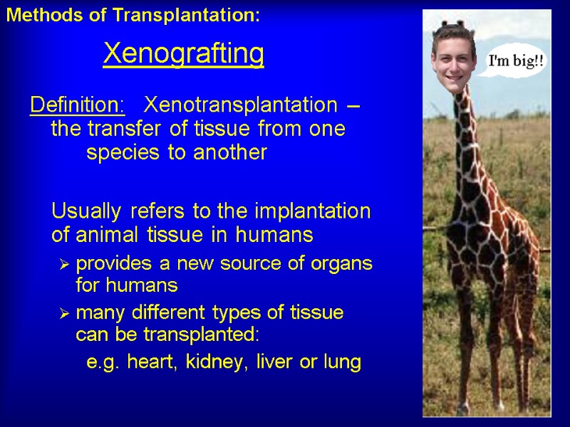 Xenografting Definition: Xenotransplantation – the transfer of tissue from one   species to